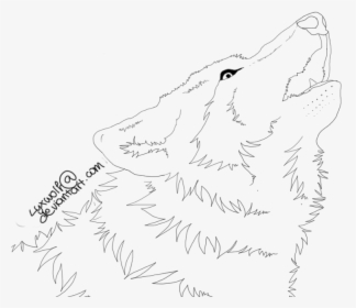 Drawn Howling Wolf Lineart, HD Png Download, Transparent PNG