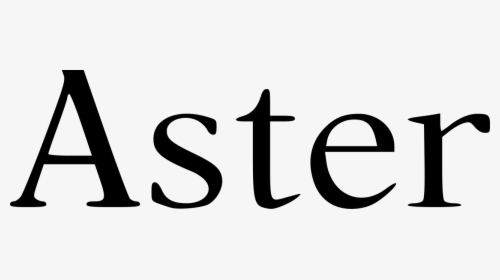 Aster Png, Transparent Png, Transparent PNG