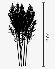 Aster Png, Transparent Png, Transparent PNG