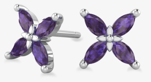 Aster Png, Transparent Png, Transparent PNG