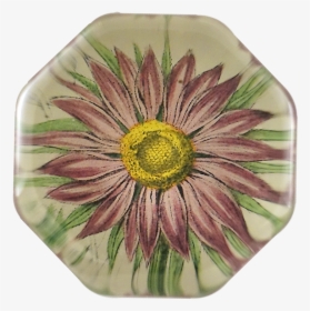 Aster Png, Transparent Png, Transparent PNG