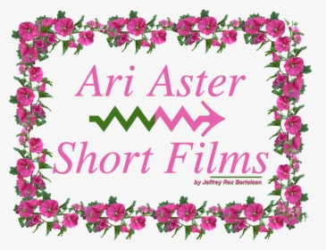 Aster Png, Transparent Png, Transparent PNG