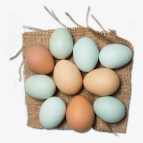Green And Blue Colored Egg Layer Baby Hens For Sale, HD Png Download, Transparent PNG