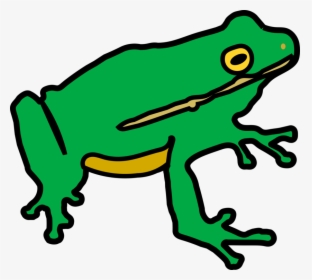 Animal Figure,toad,frog, HD Png Download, Transparent PNG