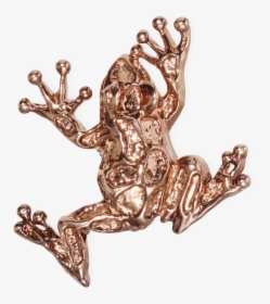 Frog Bronze-plated Brooch Fw19 Collection, Pal Zileri, HD Png Download, Transparent PNG
