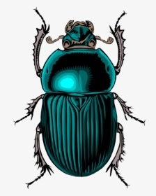 Beetle, Insect, Bug, Scarab, Stink, Dung, HD Png Download, Transparent PNG