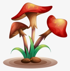 Грибы, Лесные Грибы, Mushrooms, Forest Mushrooms, Pilze,, HD Png Download, Transparent PNG