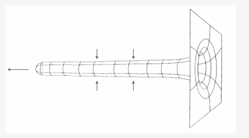 Thin White Line Png, Transparent Png, Transparent PNG