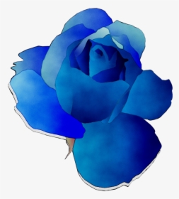 Blue Rose Garden Roses Cut Flowers, HD Png Download, Transparent PNG