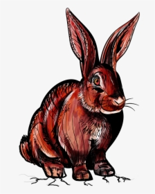 Rabbit, Wild Rabbit, Red, Bunny, Animal, Wild, Devil, HD Png Download, Transparent PNG