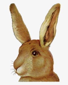 Easter Bunny European Rabbit Domestic Rabbit, HD Png Download, Transparent PNG
