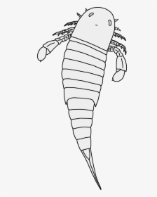 Nanahughmilleria Norvegica Restoration, HD Png Download, Transparent PNG