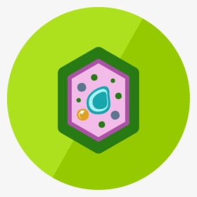 The Plant Cell, HD Png Download, Transparent PNG
