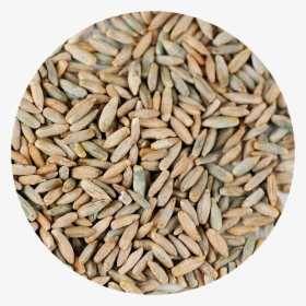Portfolio Image, HD Png Download, Transparent PNG