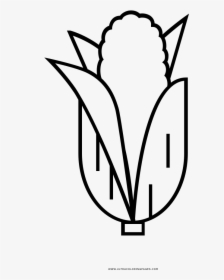 Corn Coloring Page, HD Png Download, Transparent PNG