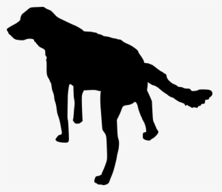 Hunting Clipart Black Lab, HD Png Download, Transparent PNG