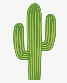 Cactus Clipart Minimalist Collection, HD Png Download, Transparent PNG