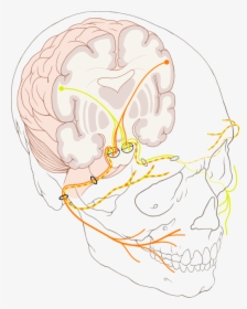 Rage Faces Png, Transparent Png, Transparent PNG