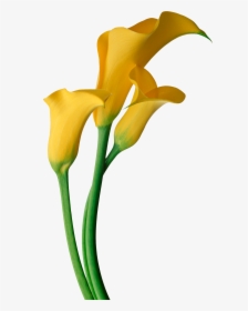 Easter Flower Clipart Calla Lily, HD Png Download, Transparent PNG