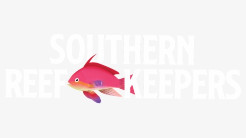 Southern Reef Keepers, HD Png Download, Transparent PNG