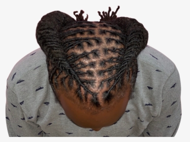 Dreadlock Png, Transparent Png, Transparent PNG