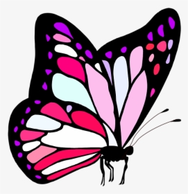 Butterfly, Pink, Cute, Girl, Feminine, Nature, Insect, HD Png Download, Transparent PNG