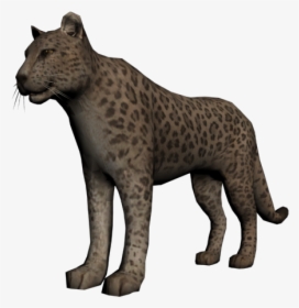 Khan The Jaguar Wiki, HD Png Download, Transparent PNG