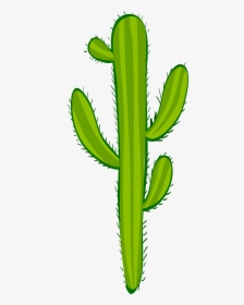 Mexican Cactus Png, Transparent Png, Transparent PNG