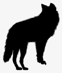 Gray Wolf Png, Transparent Gray Wolf Vector, Png Download, Transparent PNG