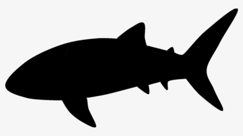 Transparent Whale Shark Clipart, Whale Shark Png Image, Png Download, Transparent PNG