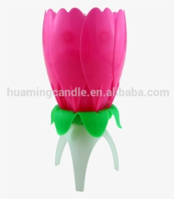 Flower Shape Birthday Candle Singing Happy Birthday, HD Png Download, Transparent PNG