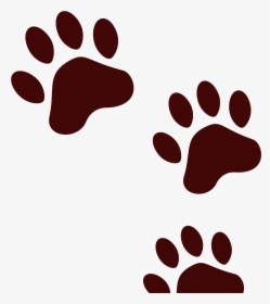 Bear Shop Of Library Buy Clip Art, HD Png Download, Transparent PNG