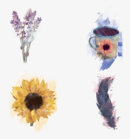 Use These Sample Clipart Items From The Watercolor, HD Png Download, Transparent PNG
