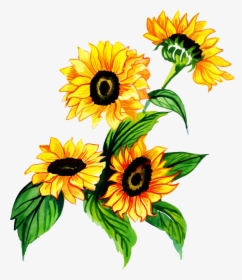 Watercolor Sunflower Png, Transparent Png, Transparent PNG