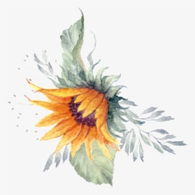 Sunflower Plant Watercolor Hand Painted Transparent, HD Png Download, Transparent PNG