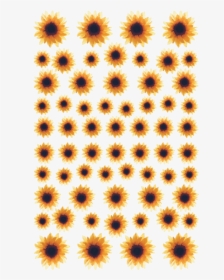転写ネイルシール＊watercolor Sunflower 【170005】, HD Png Download, Transparent PNG