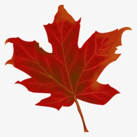 Fall Leaves Graphic Leaf Autumn Leaves Free Vector, HD Png Download, Transparent PNG