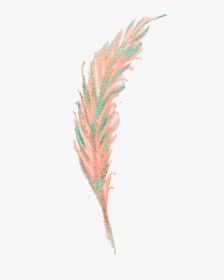 Painting Feather Clip Art, HD Png Download, Transparent PNG
