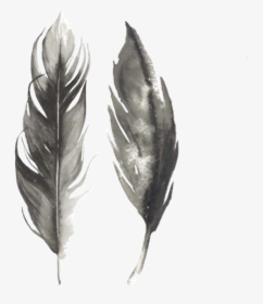 #watercolor #feathers #grey #black #birdfeathers #png, Transparent Png, Transparent PNG