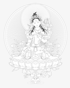 From The Sphere Of Emptiness Appears A White Lotus, HD Png Download, Transparent PNG