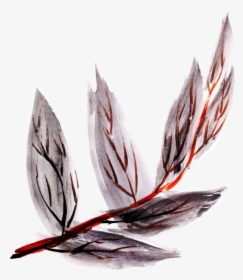 Watercolor Feather Png, Transparent Png, Transparent PNG