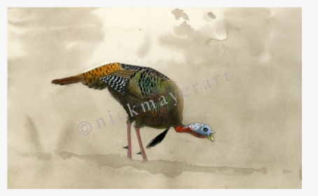 Feeding Tom Original Watercolor Painting, HD Png Download, Transparent PNG