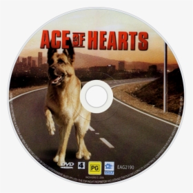 Ace Of Hearts Dvd Disc Image, HD Png Download, Transparent PNG