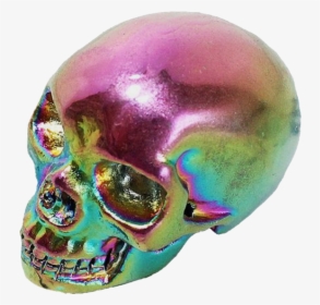 #rainbow #iridescent #skull #skullfigure #png #moodboard, Transparent Png, Transparent PNG