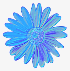 Blue Daisy Flower Tumblr Aesthetic Vaporwave Iridescent, HD Png Download, Transparent PNG