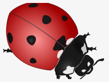 Ladybug Clipart Simple, HD Png Download, Transparent PNG