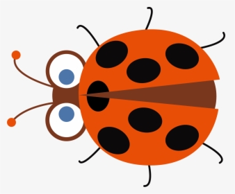 Clip Art Ladybug Cartoon Images, HD Png Download, Transparent PNG