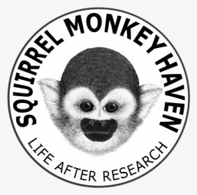 *coming Soon* Monkey Face Sticker, HD Png Download, Transparent PNG