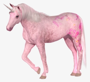 Pink Unicorn Png, Transparent Png, Transparent PNG