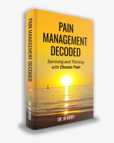 Pain Management Decoded By Dr Jb Kirby - Wealth Distribution In America 2011, HD Png Download, Transparent PNG